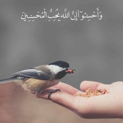 سورة البقرة | ناصر القطامي