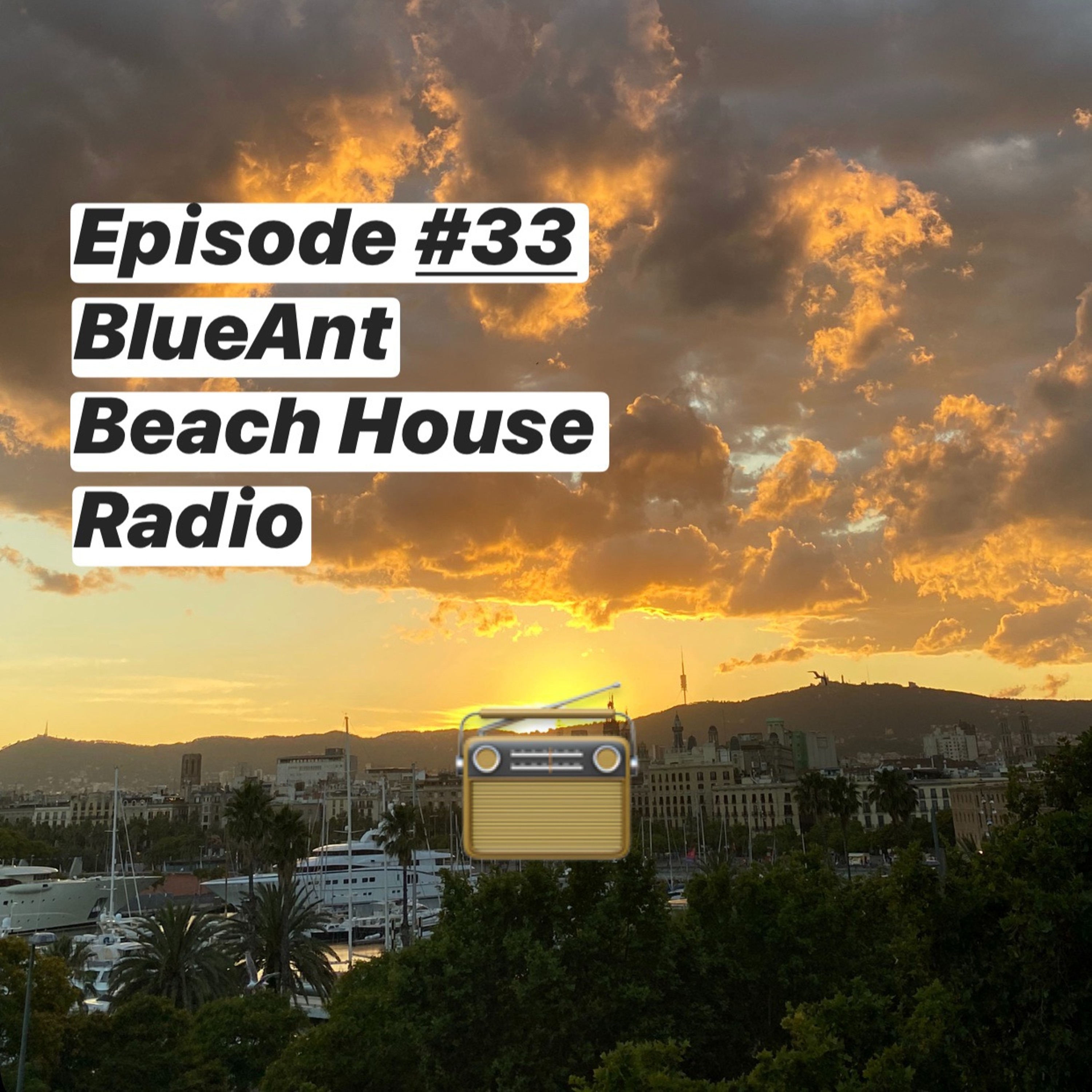 BlueAnt Beach House Radio