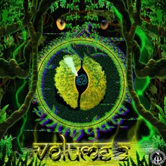 Shunyata Records - VA Shunyata Ⅱ (Free) - 03 SkitZoid - Towards The Light 154