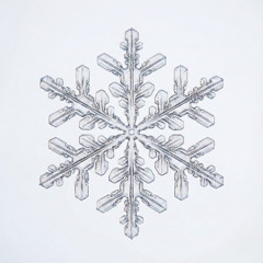 WHITE CHRISTMAS ft. Bella Pardo