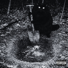 SVDDEN DEATH - SHALLOW LAND BURIAL (BEEGURTT BOOTLEG DL)