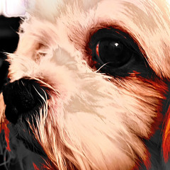 SOHEE FREESTYLE (Prod. NIJI)