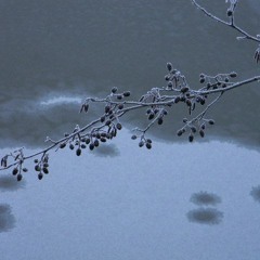 зимушка зима