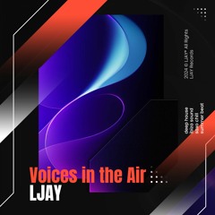 VOICES IN THE AIR (Original Mix), LJAY I Free Download