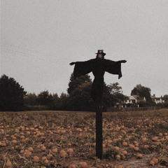 Benjixpt - Scarecrow (prod. Young Alex)