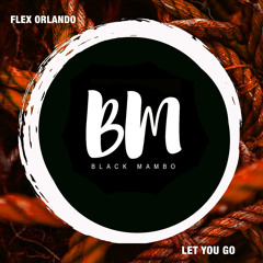 Flex Afro House Selects