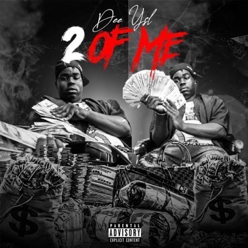 Section 8