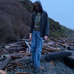 Gregory and the Hawk - Name In The Clouds (w3bcam)