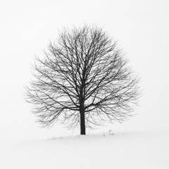 Congregation (LOW Cover)