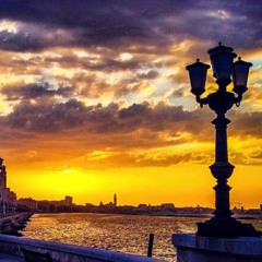 IPNOTIC BARI - MIKMOOG