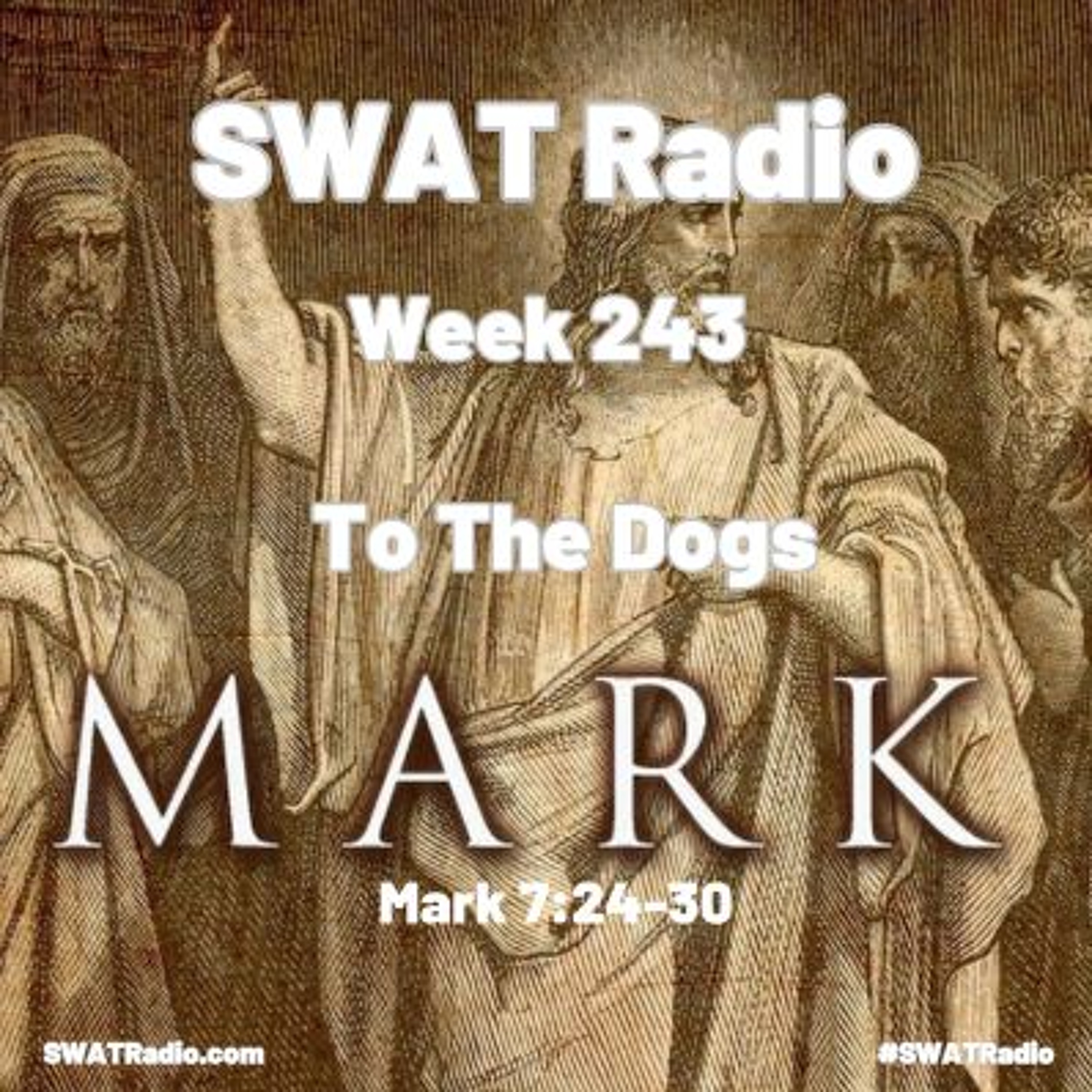 SWAT Radio