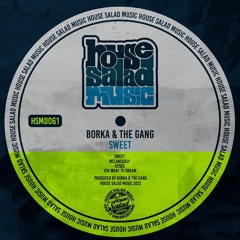 HSMD061 Borka & The Gang - You Want To Dream [House Salad Music]