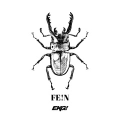 FE!N (EKG! BOOTLEG)