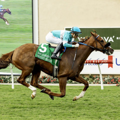 My Race Call Of The 2025 San Clemente Handicap At Del Mar Racetrack