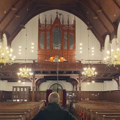 Lemur+stålestorløkken demo