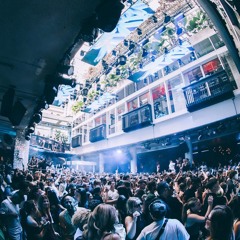 Live at ANTS - ivy Sydney | Tech House