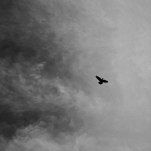 Legendary_Pakistani_Singer_goes_Metal_[Sanson_Ki_Mala_Pe](256k).mp3