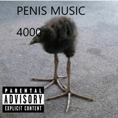 Penis music 4000