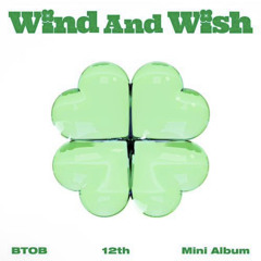 BTOB - 나의 바람(Wind And Wish) (cover)