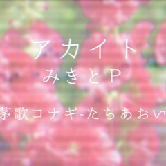 [UTAU cover+VB]アカイト[茅歌コナギ-たちあおい Kayaka Konagi-Tachiaoi]