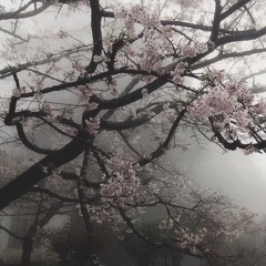 CAN'T LIE (prod. glbkns + tailsxm)( Music Video in description )