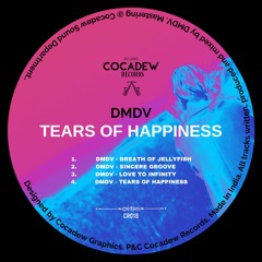 PREMIERE: Dmdv - Tears Of Happiness [Cocadew Records]