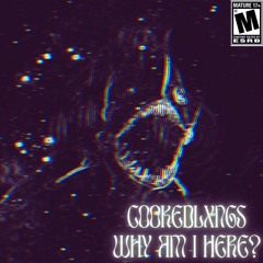 WHY AM I HERE? [Prod. Shxron666]