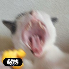 (SALNPT 08) JAJAJAJA (ORIGINAL MIX) #FREEDOWNLOAD