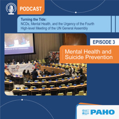 Mental Health and Suicide Prevention - UNGA Fourth High-Level Meeting on NCDs and Mental Health
