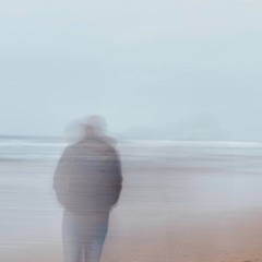 I Could Never Blame You (feat. Logan Elliott)