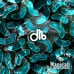 Manisah  / downtempo, baby! / #26