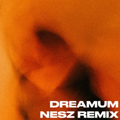 Dreamum Wakepum - Nesz Remix