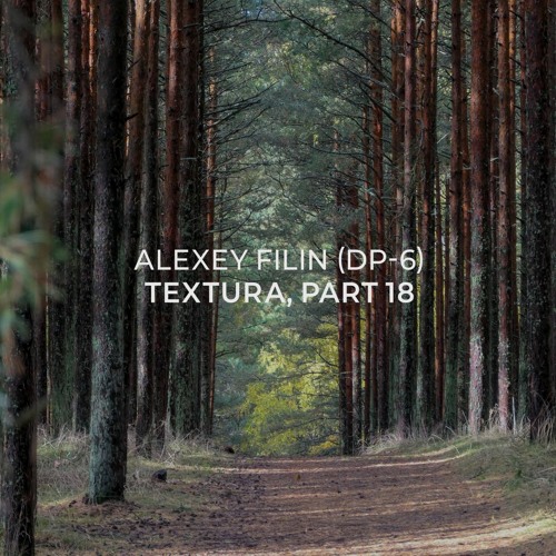 Alexey Filin (DP-6) - Textura, part 18