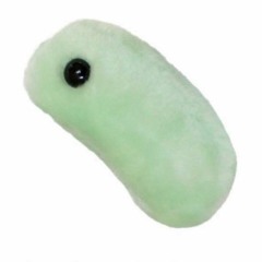 ur Pussy p0ggers! ♥︎☆＊°・(prod. kxly)