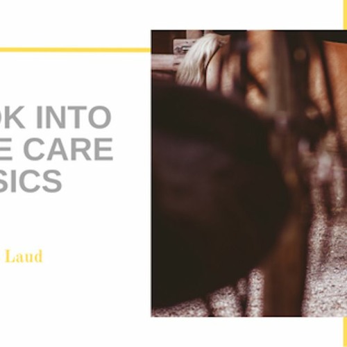 Stream episode A Look Into Horse Care Basics by Sarah Laud podcast