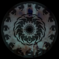 MELD- Live at GLOB 10/05/24