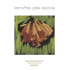 Hartta - Lung Pressure [Banoffee Pies Records]
