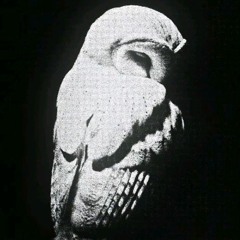 Rise from the Fall - Harpazz