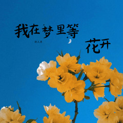 我在梦里等花开