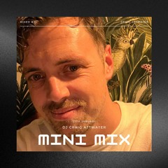 Mini Mix 27th Jan