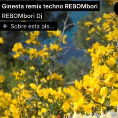 Ginesta remix techno REBOMbori