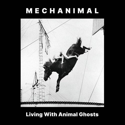 Mechanimal - Shadows On The Wall (Jared Kyle Remix)