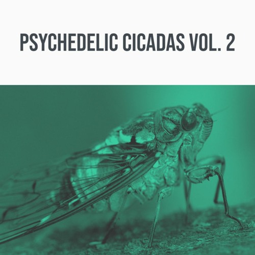 Stream Psychedelic Cicadas Vol. 2 Demo Track by 344 Audio Listen