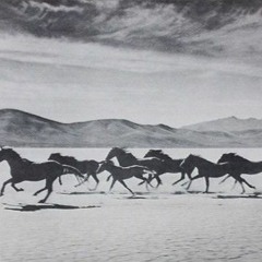 Horse Ride - Mathar Vocal Mix