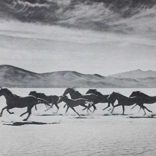 Horse Ride - Mathar Vocal Mix