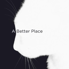 A Better Place