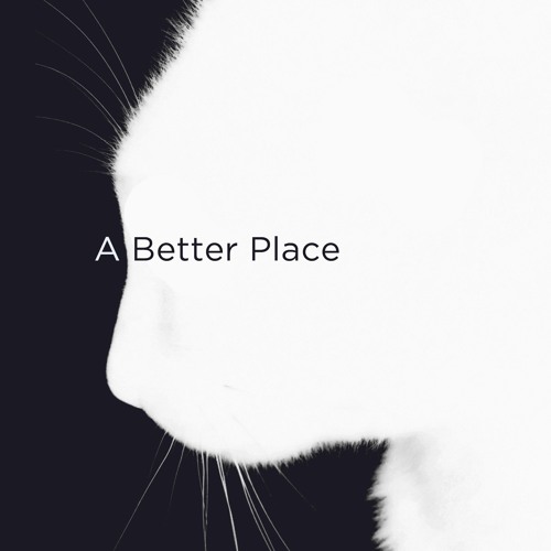 A Better Place
