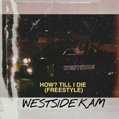 HOW? TILL I DIE (FREE$TYLE)