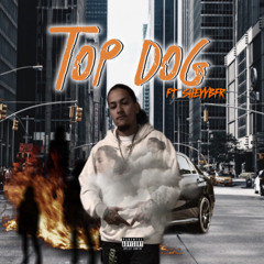 NEW BEGINNINGS FT SHEYYBFR