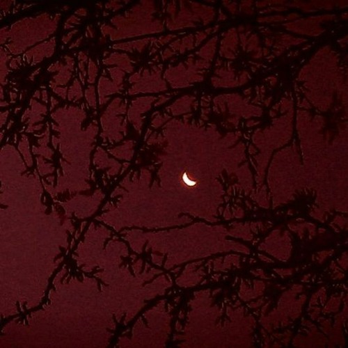 blood_stains (emptychest)
